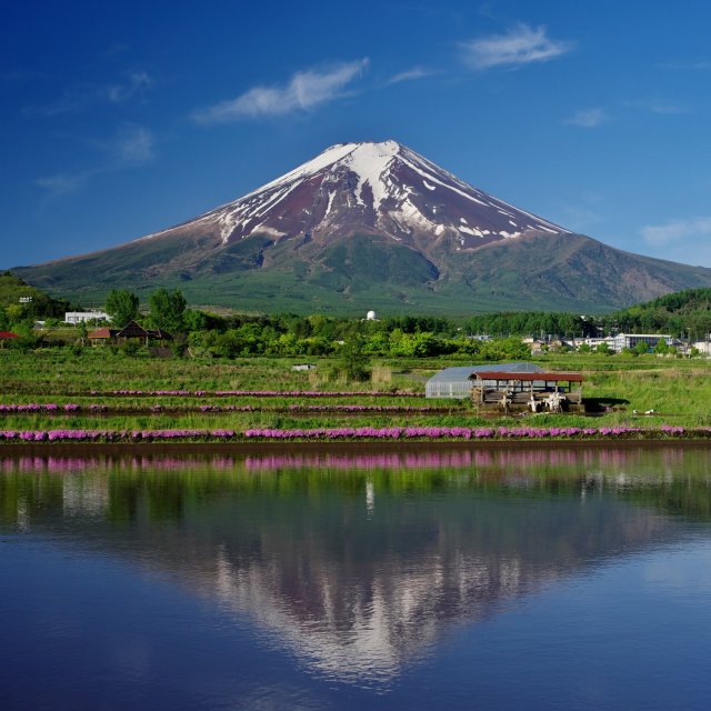農村公園
